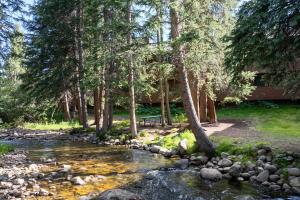 a picnic table next to a stream in a forest at Winter Park Place #18 in Winter Park