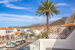 a palm tree on a city street with cars at Holiday Apartments Oasis in Los Cristianos