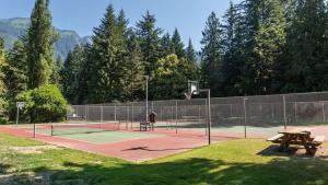 a tennis court with a bench and a basketball hoop at Church Mountain View Chalet in Glacier