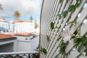 Een balkon of terras bij Casa das Palmeiras Charming House - Azores 1901