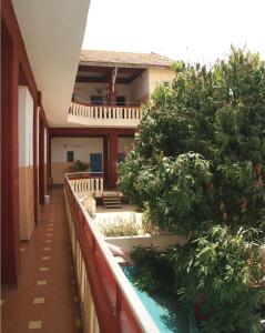 ein Flur eines Gebäudes mit Büschen und Bäumen in der Unterkunft Hôtel Oceanic in Dakar