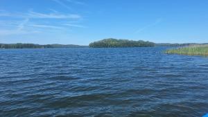 a large body of water with trees in the background at Domek nad jeziorem in Dorotowo