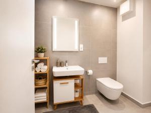 a bathroom with a white toilet and a sink at Apartmán Javorná Living in Čachrov +9 photos