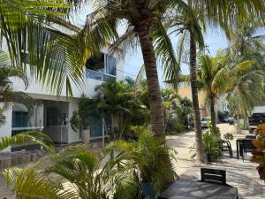 a courtyard with palm trees and a building at Hotel Sunset Beach in Cartagena de Indias