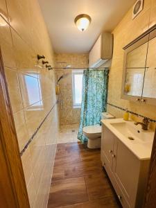 a bathroom with a sink and a toilet and a shower at Rožu namu apartamenti 6 in Kuldīga