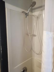 a shower with a shower head in a bathroom at Comfortable home in Mobile +6 photos