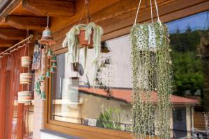 a window of a house with plants hanging from it at Ramoscello in Altare