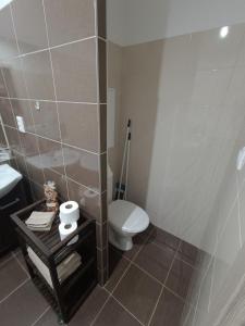 a bathroom with a toilet and a sink at 1-room apartment in Nitra +9 photos
