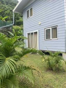 a house with palm trees in front of it at Bungalow tatayo in Aua