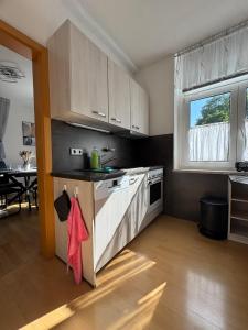a kitchen with white cabinets and a sink and a window at ErzNest in Thum