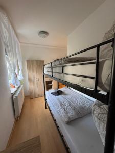 a bedroom with two bunk beds with a cat sitting on top at ErzNest in Thum