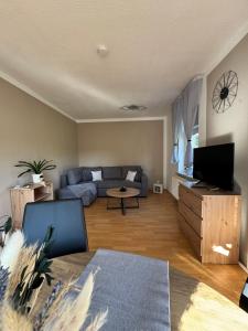 a living room with a couch and a tv at ErzNest in Thum