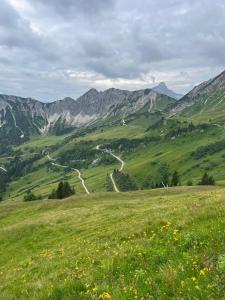a green hill with a winding road in the mountains at Ferienhof Haug in Bad Hindelang +22 photos