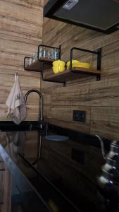 a kitchen with a sink and shelves on a wall at Arcadia Family Vacation House in Çilǝgir +21 photos