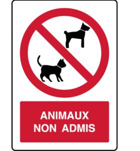 a sign that reads ammonia non admirals with a cat at Le val du vieux chêne chambre d'hôtes in Walcourt