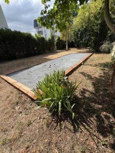 a road with a plant in the middle of a yard at CAEN ça repose ! in Caen