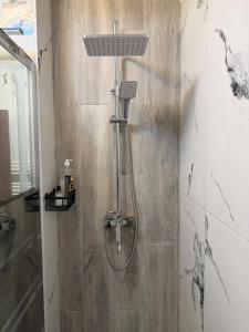 a shower in a bathroom with a sink and a shower at Sofia Apartment in Galaţi