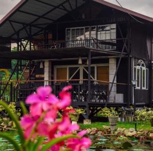 a house with a pond in front of it with pink flowers at Villas by Helanka in Gonawala