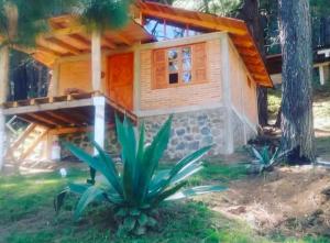 a small house with a palm tree in front of it at Cabañas las Alazanas in Mazamitla