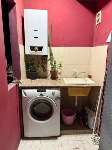 a small bathroom with a washing machine and a sink at Olivia apart in Chajarí +3 photos