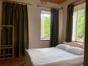 a bedroom with a bed and two windows at Rails and Vines in Tsinandali