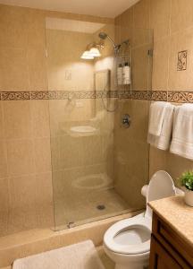a bathroom with a shower and a toilet at Ocean View Serenity in Cupecoy +30 photos