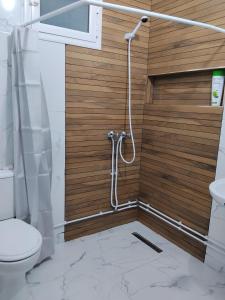 a bathroom with a toilet and a wooden wall at villa mimosa free parking inside in Tataouine +54 photos