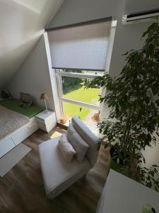 a living room with a couch and a window at Apartament Ptyś i Balbina w Centrum Rehabilitacji &spa in Bielsko-Biała