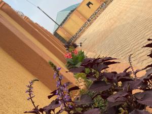 a plant with purple flowers next to a building at Omuka owaawe resort in Biguri