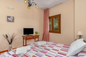 a bedroom with a large bed and a television at Hotel Balcón de los Montes in Colmenar