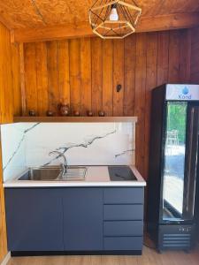 a kitchen with a sink and a counter top at Wooden Villa Eilin 3 in Tirana