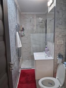 a bathroom with a toilet and a sink and a shower at Apartament Antonia&Alex in Brad