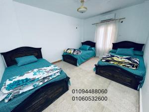 a bedroom with two twin beds and a window at شقق قرية النورس in Ismailia