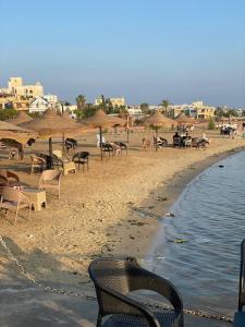 a group of chairs and umbrellas on a beach at شقق قرية النورس in Ismailia