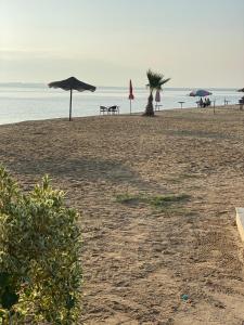 a beach with tables and umbrellas on the beach at شقق قرية النورس in Ismailia