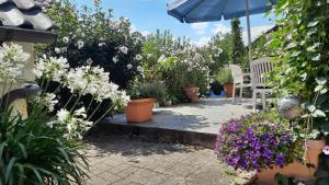 a garden with potted plants and flowers on a patio at Ferienwohnung Purwins in Ebermannstadt +20 photos