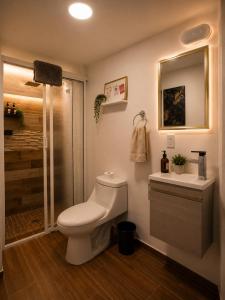a bathroom with a toilet and a sink and a shower at Yui Loft cómodo para pareja o estancia tranquila in Pachuca de Soto +38 photos