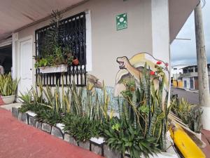a building with a painting on the side of it with plants at Mí Oficina in Puerto Ayora