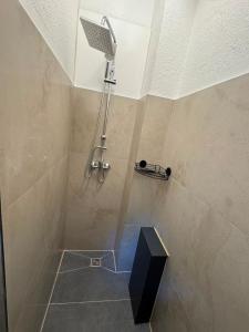 a shower with a shower head in a bathroom at City Apartment in Siegen