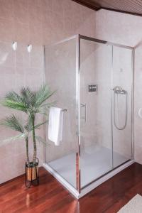 a bathroom with a shower with a plant in it at Casa da presa in Ponte de Lima +34 photos