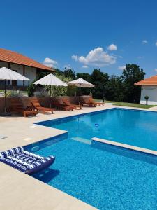 a swimming pool with lounge chairs and umbrellas at Vinogradi Zmajevački in Mladenovac