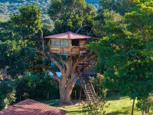 a tree house in the middle of a tree at Pousada Casa da Trilha in Vale do Capao