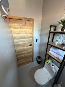 a bathroom with a toilet and a wooden door at Suite Vlady in Cuenca +32 photos
