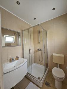 a bathroom with a shower and a toilet and a sink at Apartments Perina Tisno in Tisno +85 photos