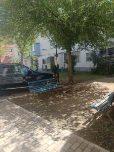 a car parked next to two benches under a tree at Fatos in Pogradec