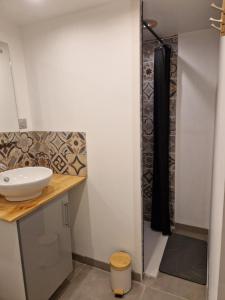 a bathroom with a sink and a shower at Maisonnette à 350m de la plage in Berck-sur-Mer +7 photos