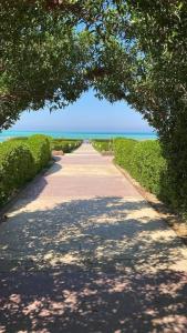 a dirt road with a tree arch over it at لاسيرينا عيون موسى LaSerinaللعائلات in Ras Sedr