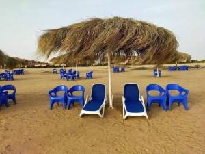 a group of blue chairs and an umbrella on the beach at لاسيرينا عيون موسى LaSerinaللعائلات in Ras Sedr