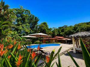 a resort with a swimming pool with chairs and an umbrella at Hotel Espadilla Gardens in Quepos