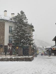 a christmas tree in front of a building in the snow at Snow Dreams in Sierra Nevada